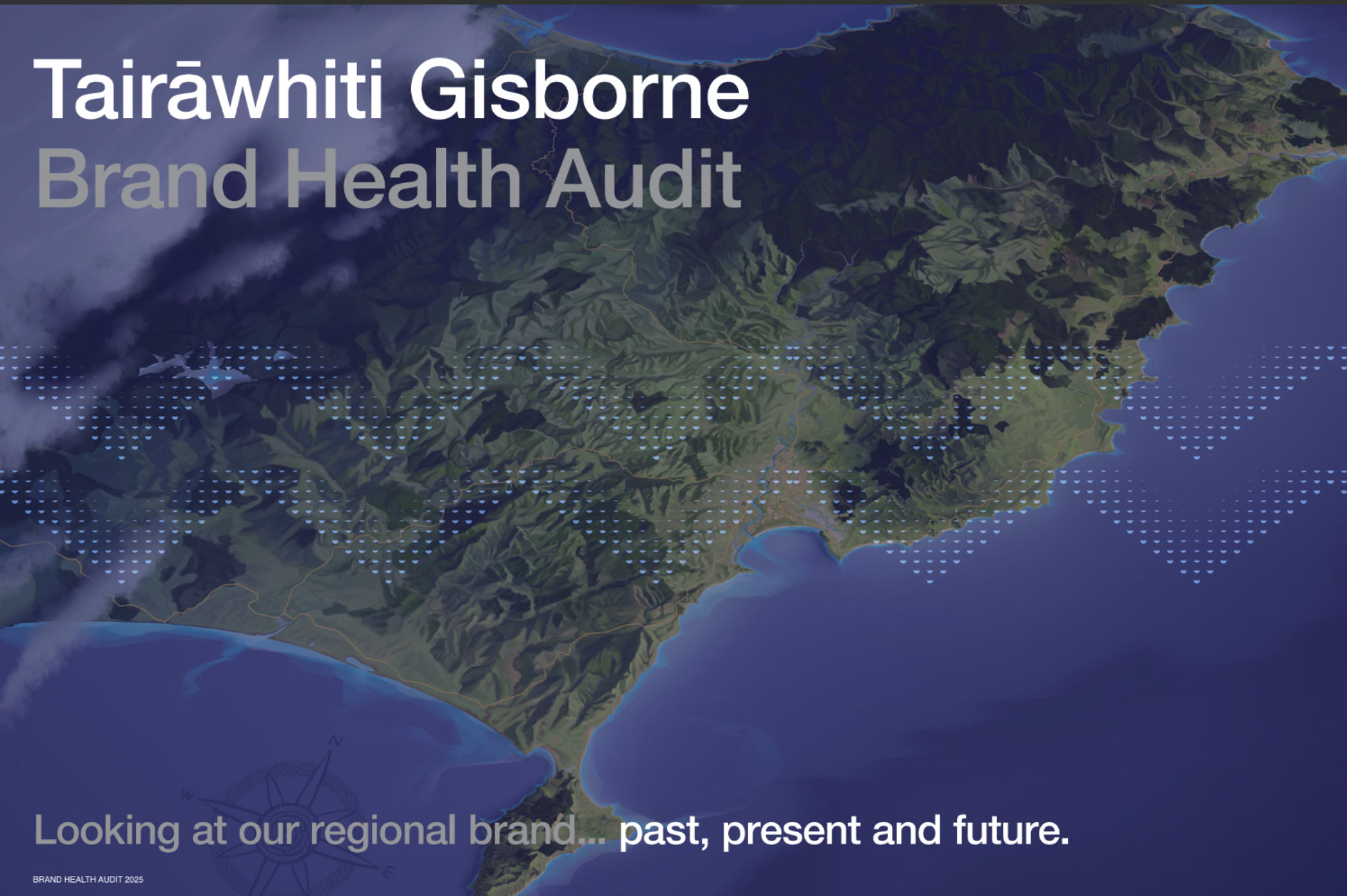 Trust Tairāwhiti Brand Audit